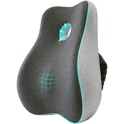 Kantor Lumbar Cushion